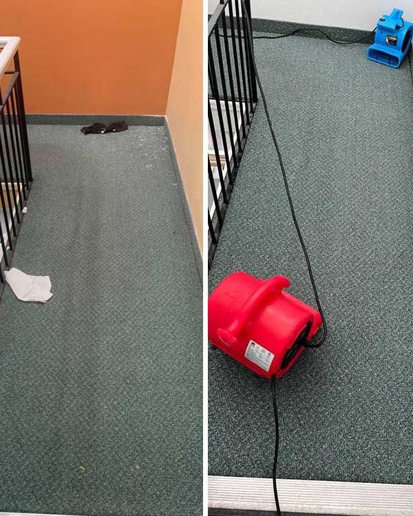 commercial carpet cleaning before after