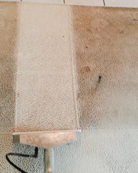 Stained carpet during carpet cleaning