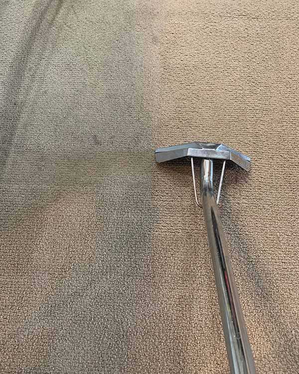 commercial carpet cleaning results