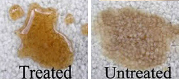 Carpet Protector VS No Carpet Protector