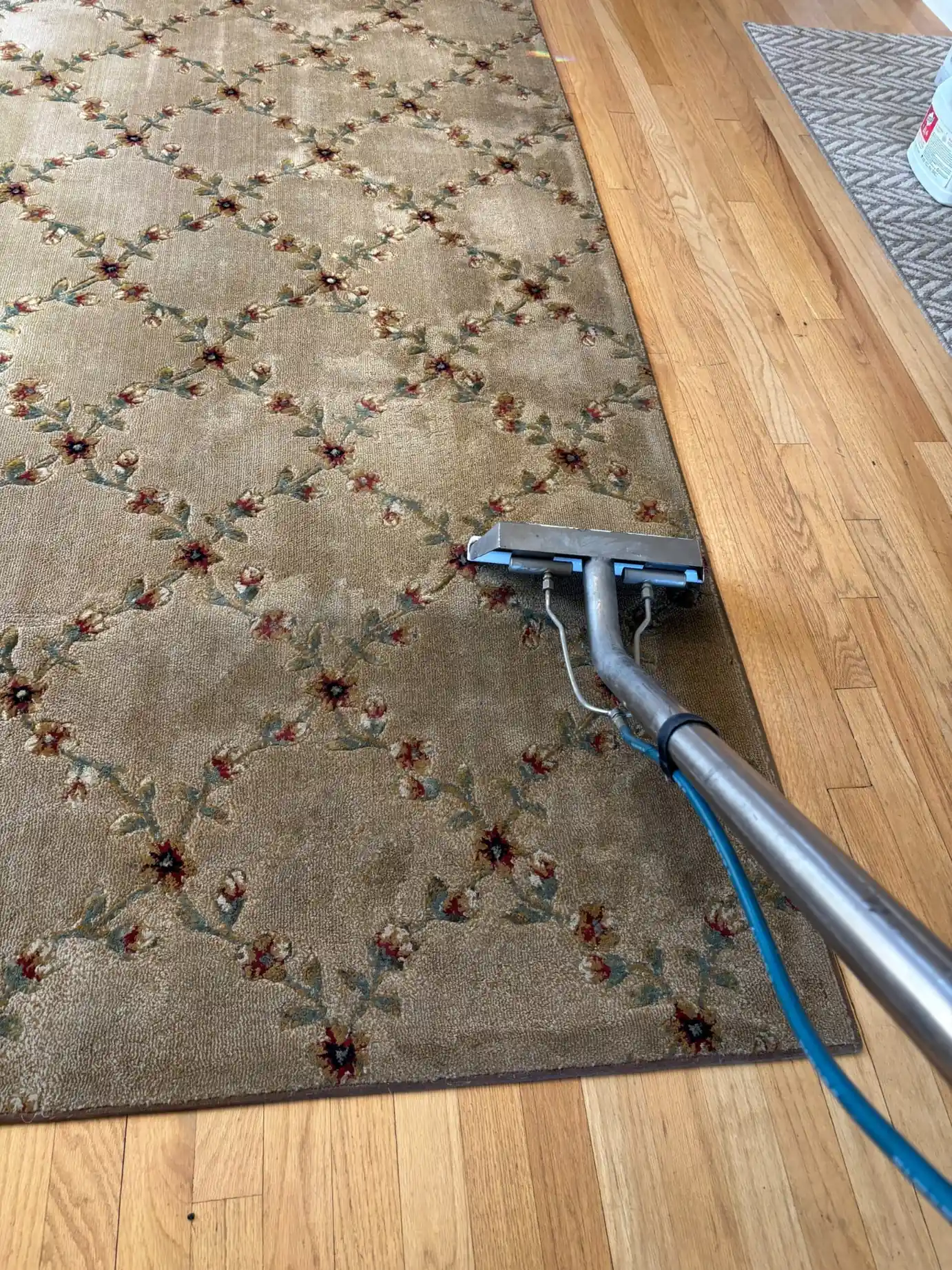 Area rug cleaning in Staten Island NY using hot water extraction to remove embedded dirt and restore the rug’s appearance.