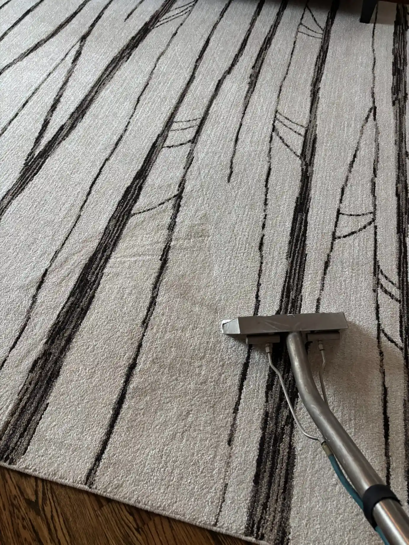 Professional area rug cleaning in Staten Island NY using hot water extraction on a modern white patterned rug.