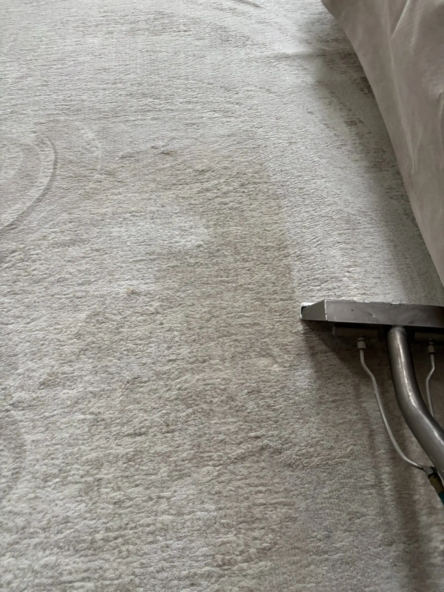 Professional area rug cleaning in Staten Island NY with hot water extraction removing embedded soil and restoring fibers.