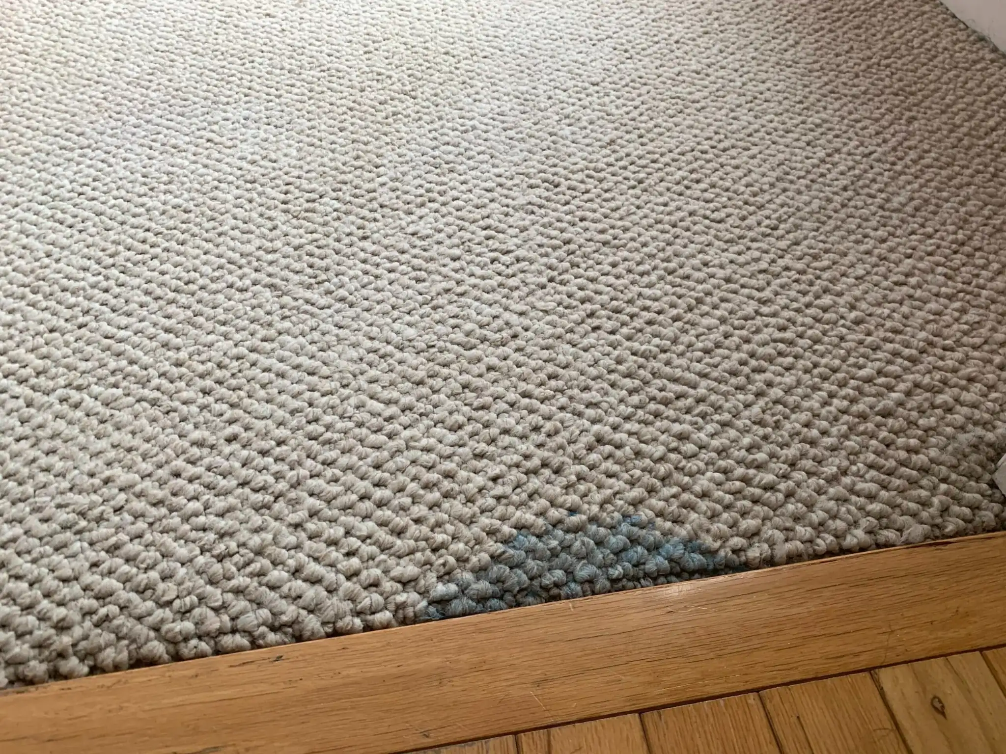 Before carpet cleaning blue stain in Staten Island NY showing visible blue discoloration prior to professional stain removal.