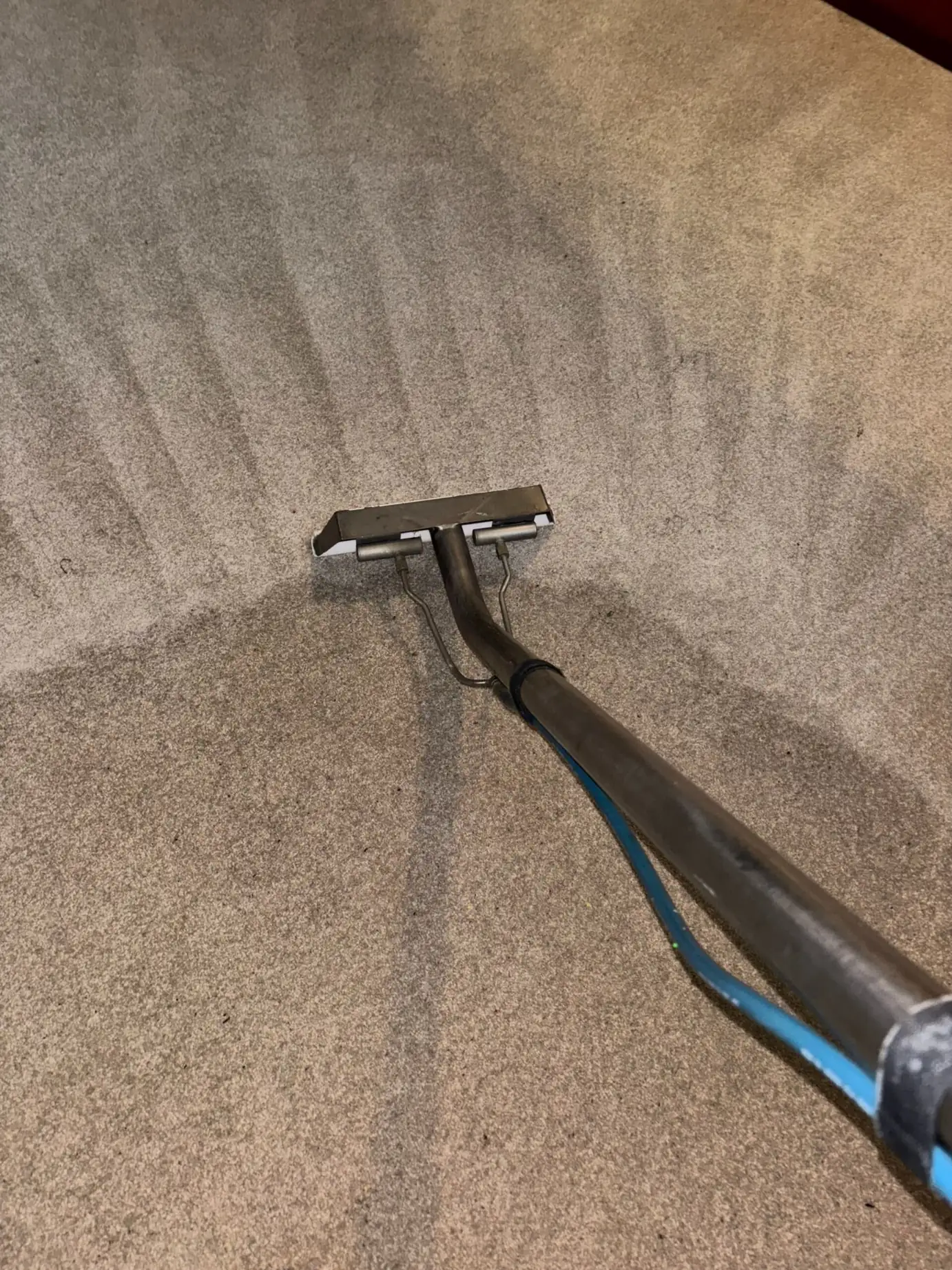 Professional carpet cleaning in Edison NJ using hot water extraction to remove heavy soil and restore carpet fibers.