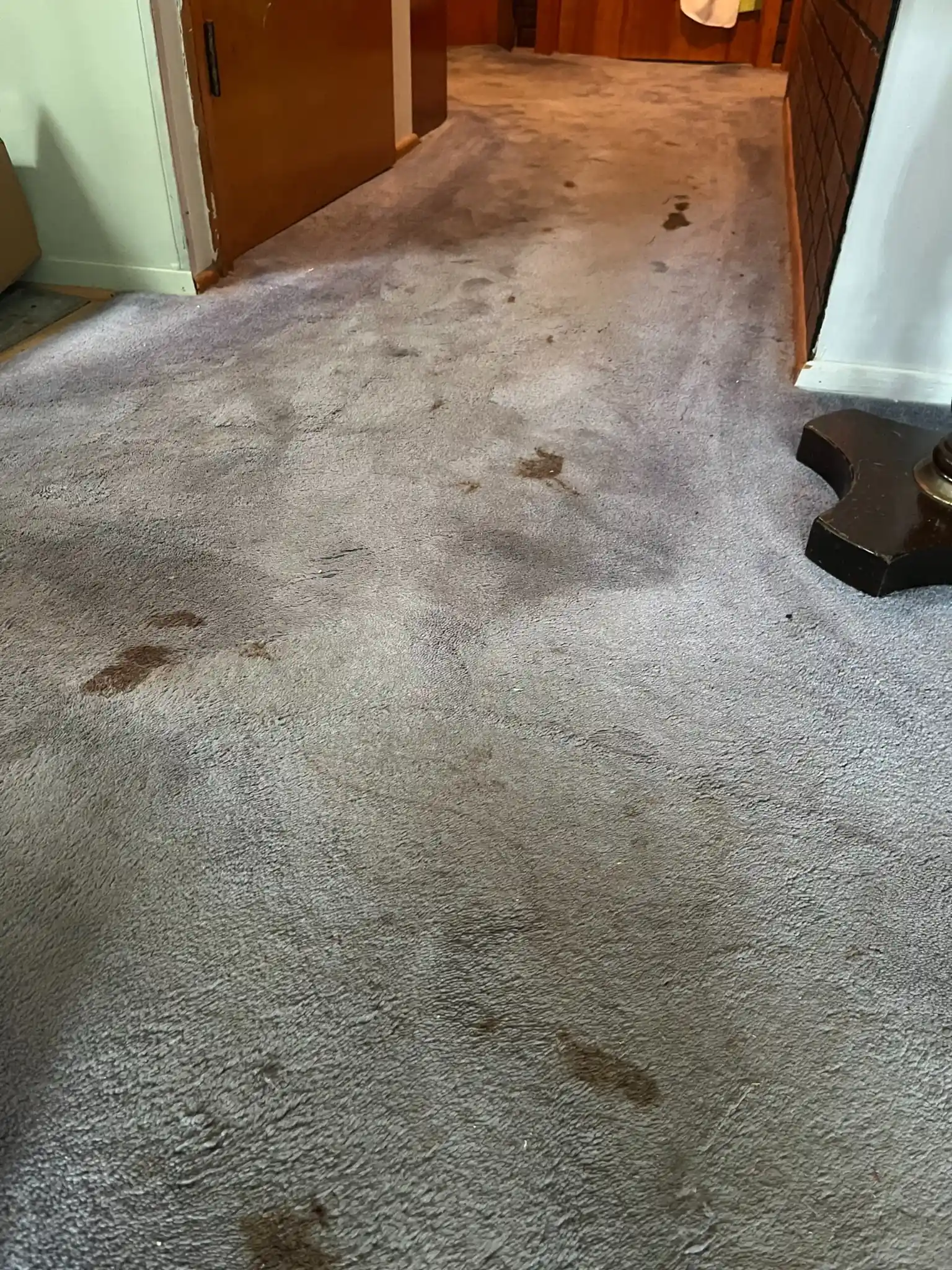 Before carpet cleaning hallway in Staten Island NY showing heavy stains, dark spots, and traffic soil buildup.