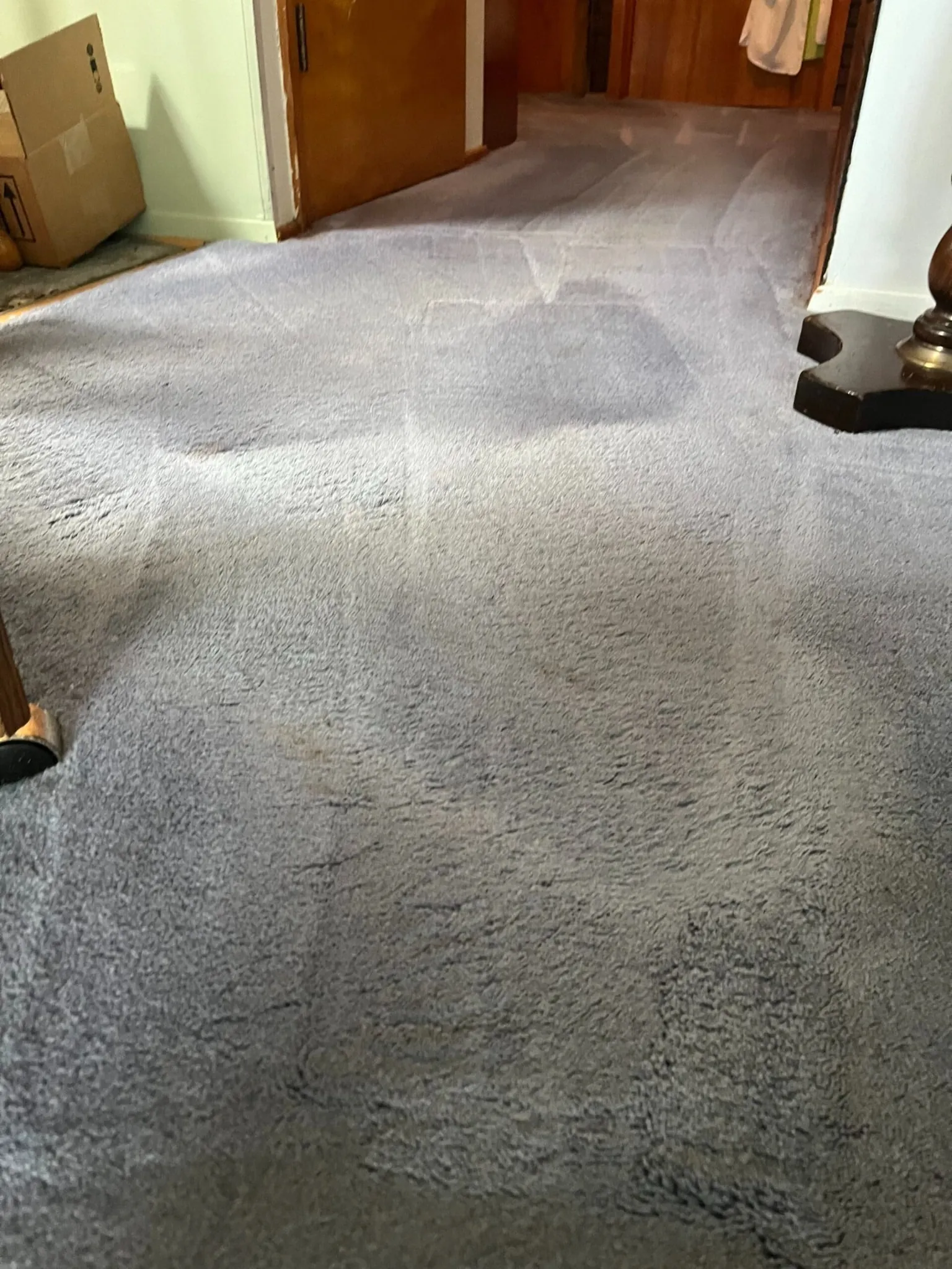 After carpet cleaning hallway in Staten Island NY showing heavy traffic soil and dark stains prior to professional deep cleaning.