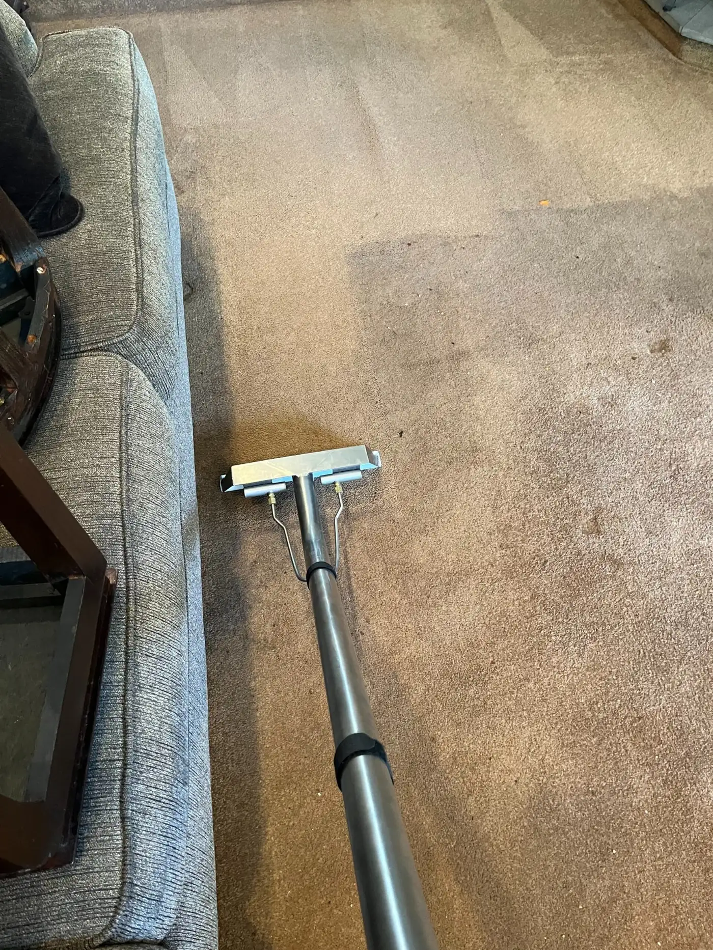 steam cleaning carpet in holmdel nj
