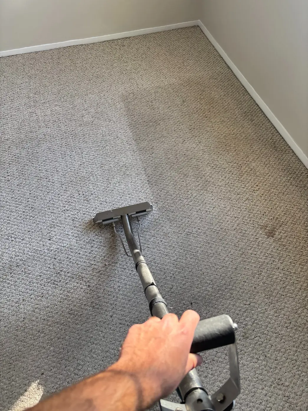 Professional carpet cleaning in Woodbridge NJ using hot water extraction to remove deep soil and restore residential carpet fibers.