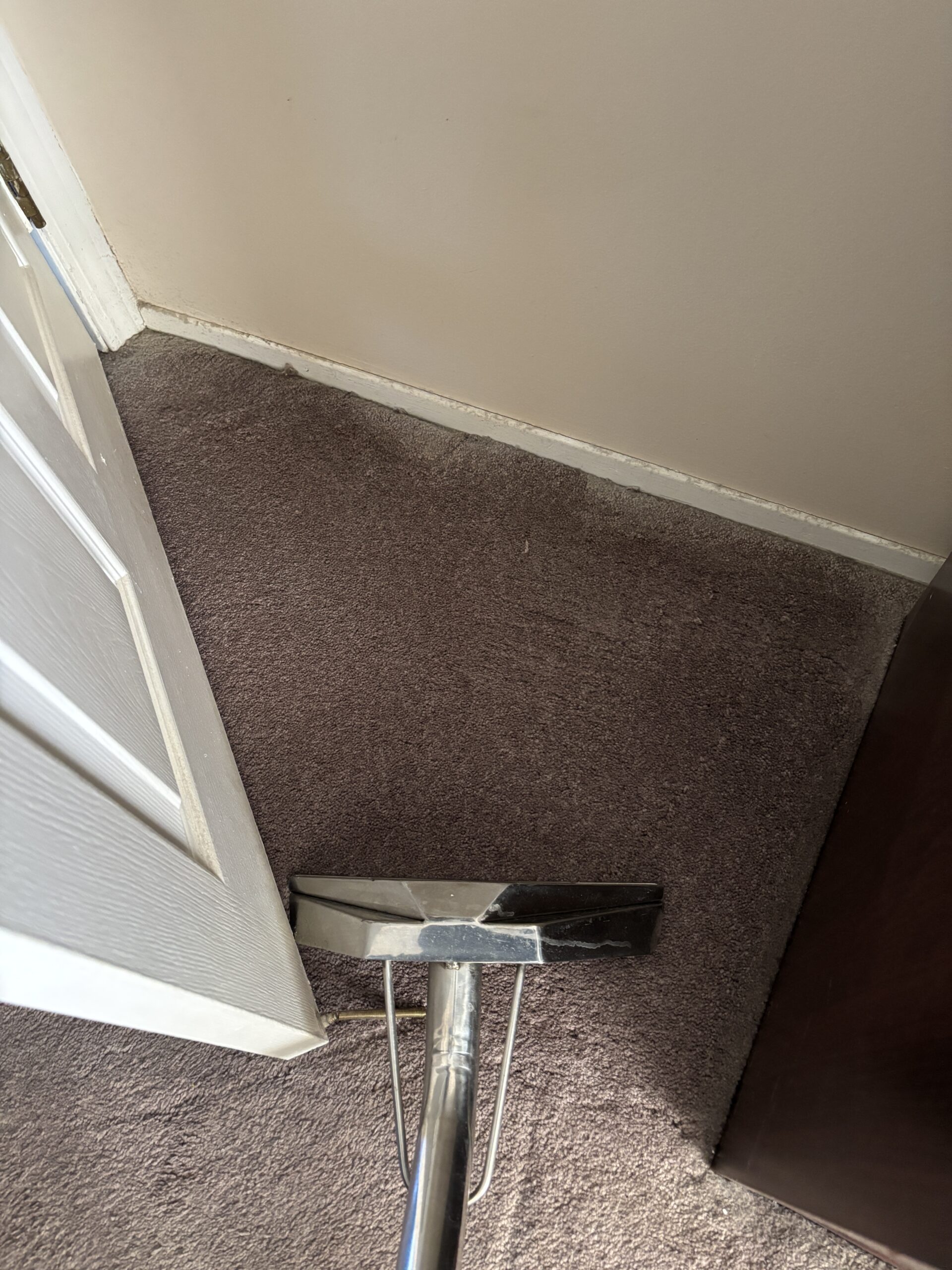 Carpet rust spot fully removed after stain removal service. 