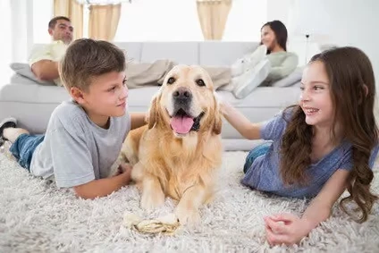 Family sitting on freshly cleaned carpet in Staten Island NY home after professional carpet cleaning.