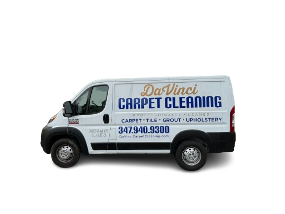 DaVinci Carpet Cleaning Logo