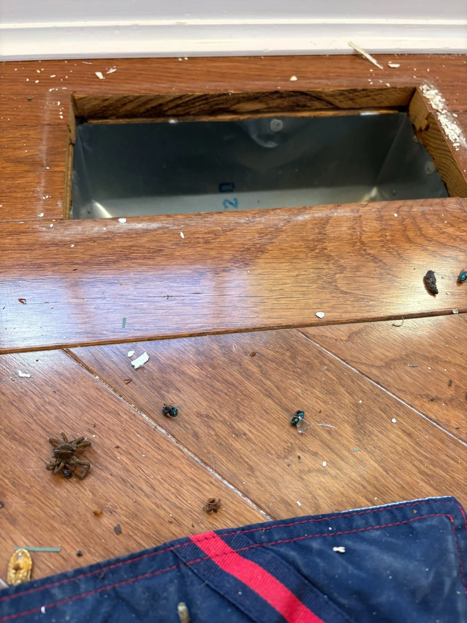 Air duct cleaning in East Brunswick NJ showing insects and debris inside residential floor vent opening
