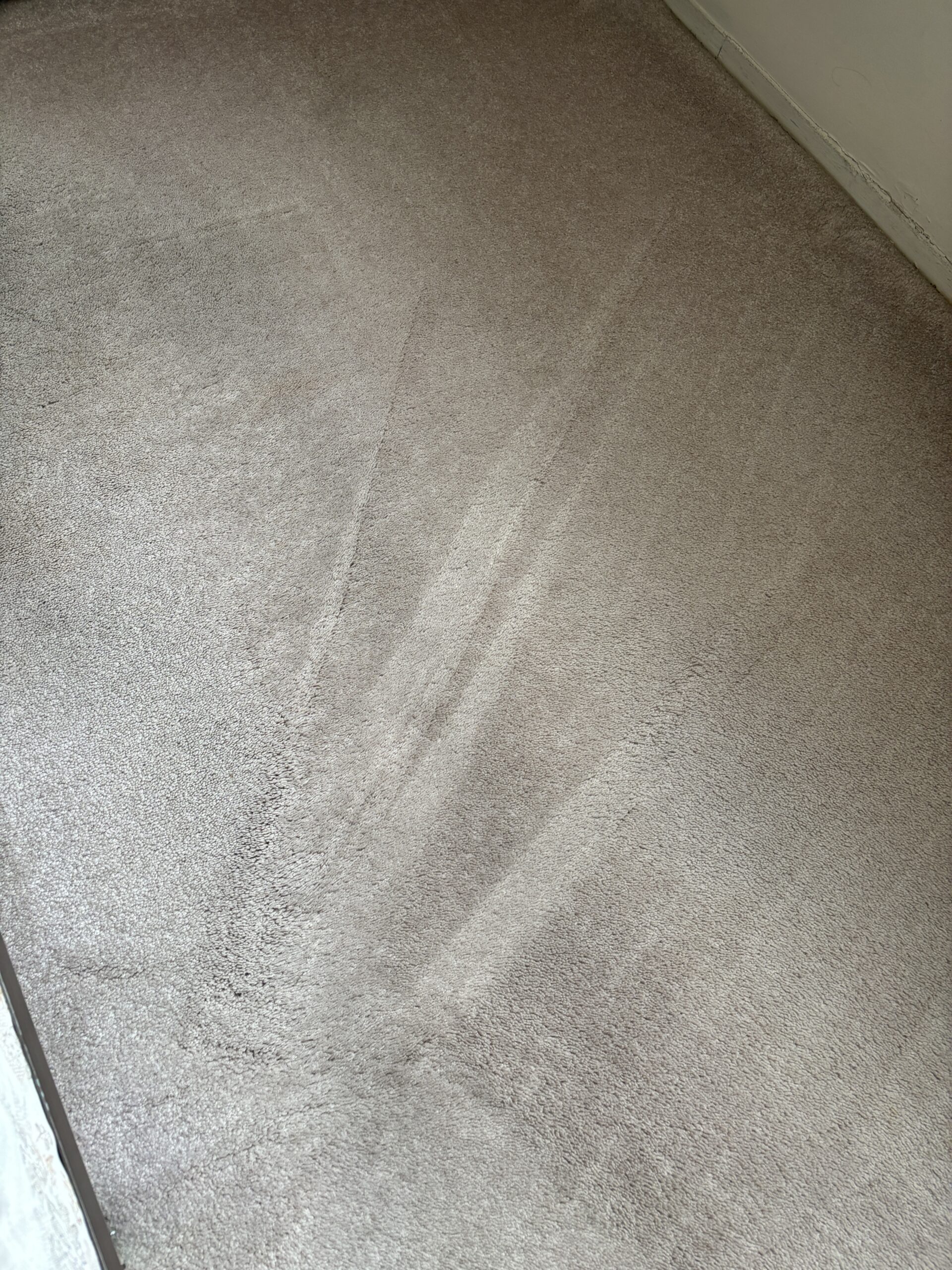Feces stain removed from carpet after emergency cleaning in Staten Island, NY.