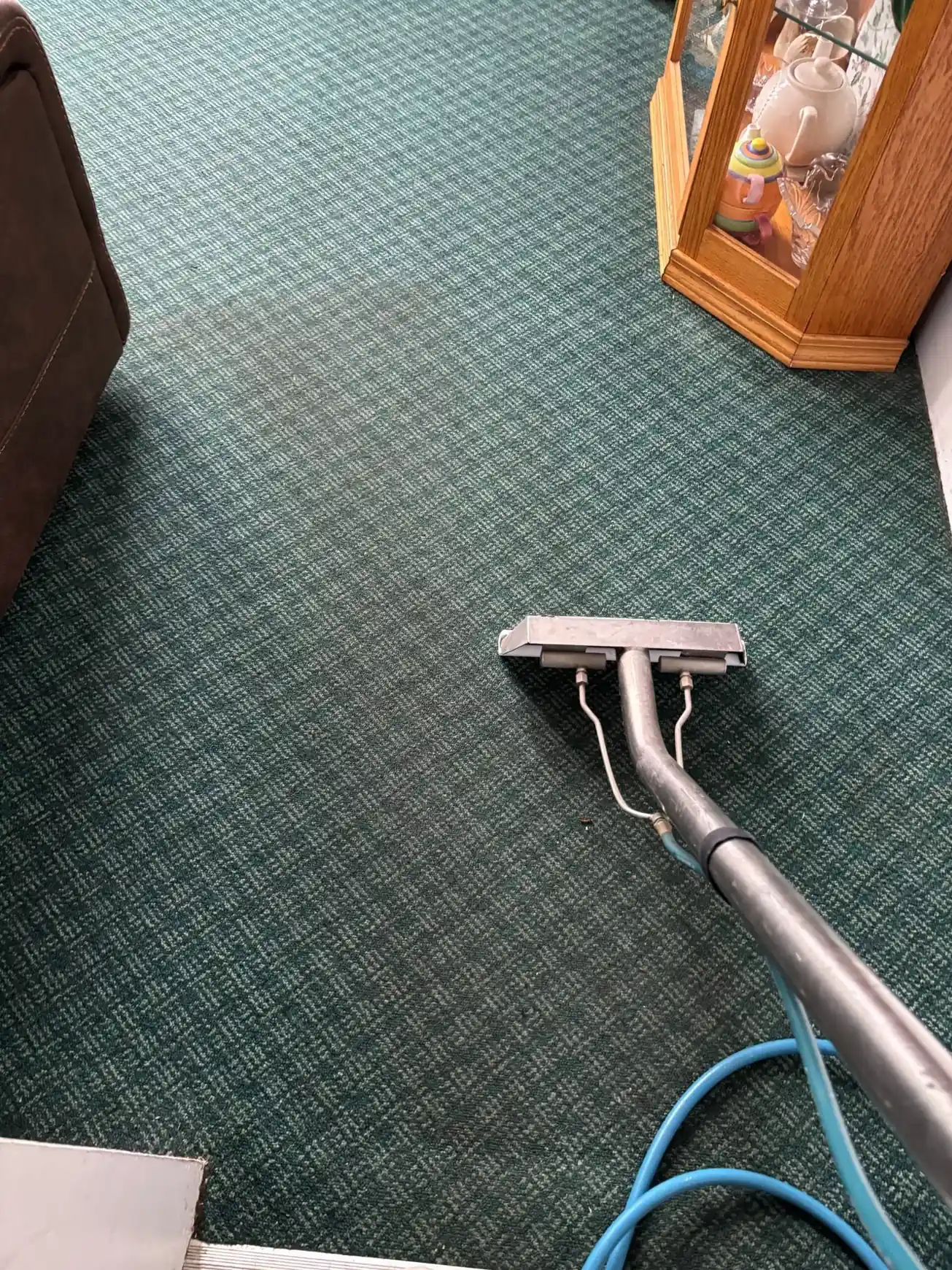 Commercial green carpet cleaning in Edison NJ using hot water extraction to remove soil and restore carpet fibers.
