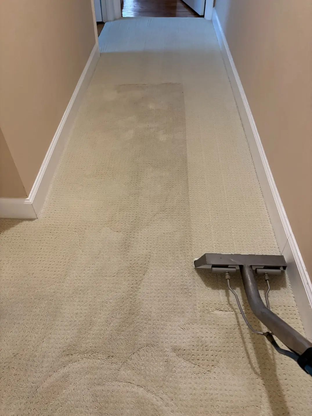 Professional hallway carpet cleaning in New Jersey using hot water extraction to remove deep soil and restore carpet fibers.