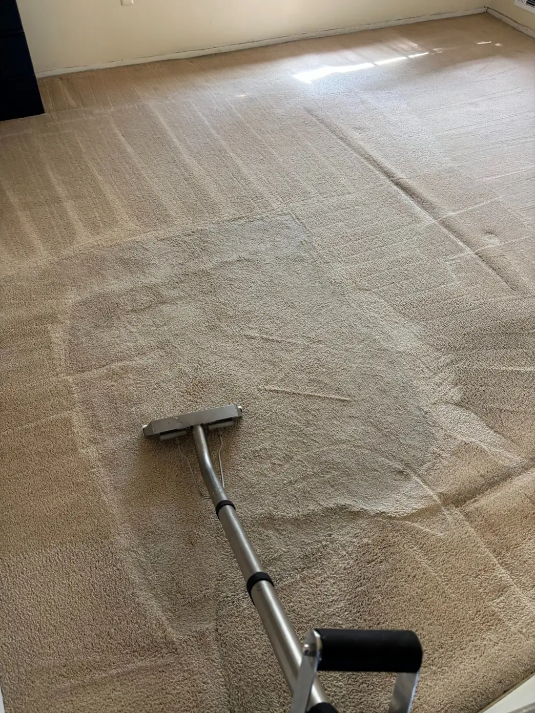 Professional living room carpet cleaning in North Brunswick NJ using hot water extraction to remove heavy soil and restore carpet fibers.