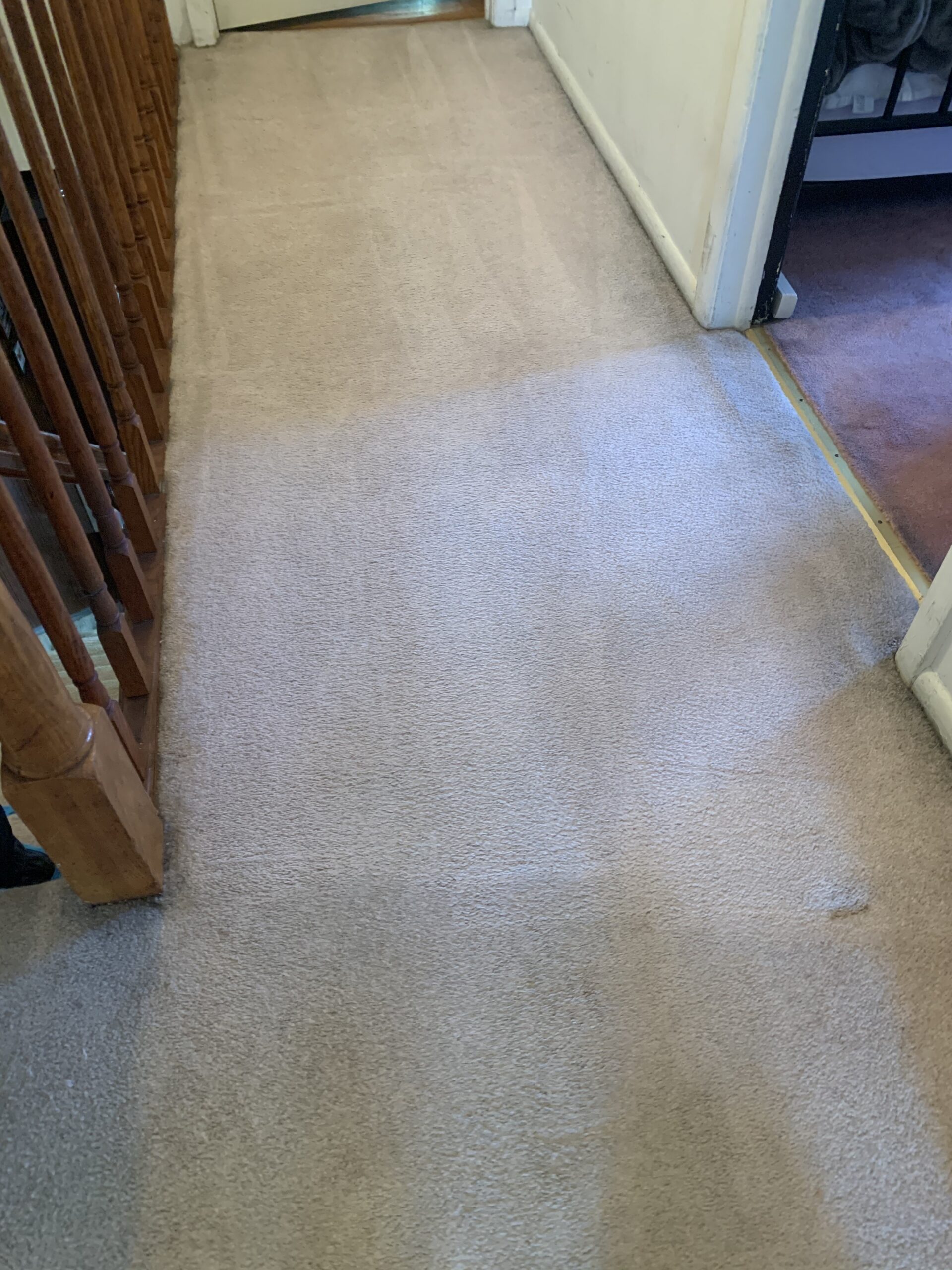 Pet urine stain completely removed from carpet after mergency cleaning in Staten Isand
