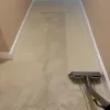 Cleaning the carpets in a East Brunswick, NJ home.