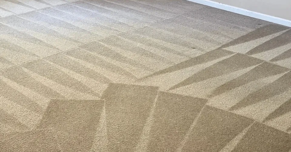 Carpet cleaned in Edison, NJ home.