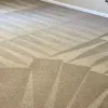 Freshly cleaned carpet after hot water extraction showing professional carpet cleaning results in Staten Island NY
