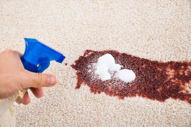 Emergency carpet and upholstery cleaning service in Staten Island offering same-day response, pet odor removal, spill cleanup, and minor water extraction by experienced local technicians.