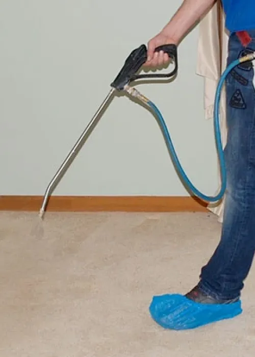 Carpet cleaning process.