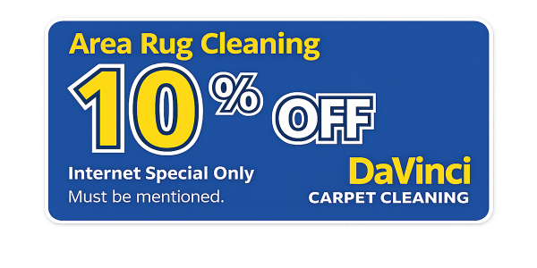 10 percent off area rug cleaning special in Staten Island NY